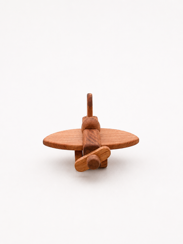 Avión pequeño de Madera Nativa