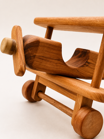 Avión grande de Madera Nativa